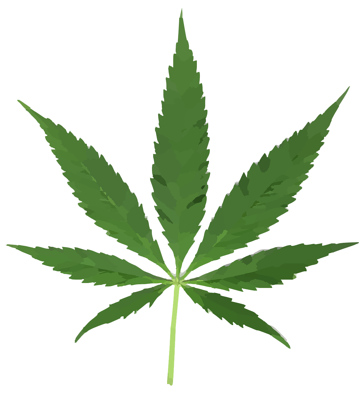 clker-free-vector-images-leaf-297097_1280